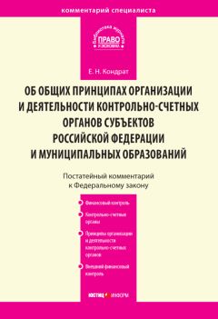 Любовь Кузнецова - Комментарий к Федеральному закону от 2 октября 2007 г. № 229-ФЗ «Об исполнительном производстве» (постатейный)