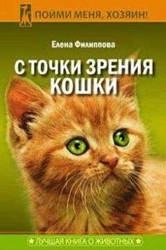Евгений Елизаров - Философия кошки