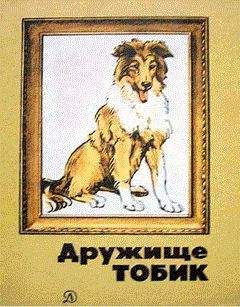 Сергей Жигалов - Бродячие собаки