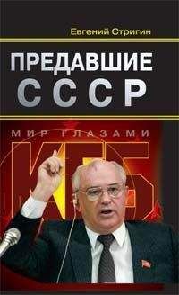 Евгений Стригин - КГБ был, есть и будет. ФСБ РФ при Барсукове (1995-1996)