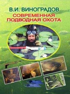 Виталий Шамарин - Справочник кладоискателя