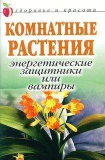 Анастасия Красичкова - Золотая книга приусадебного участка