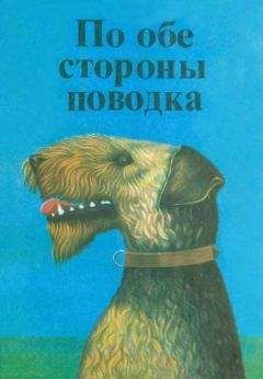 Ольга Карагодина - Серебряный пёс