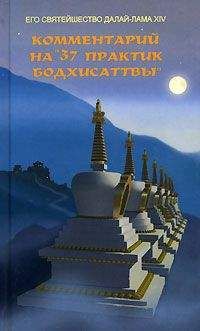 Тензин Гьяцо - Мир тибетского буддизма. Обзор его философии и практики