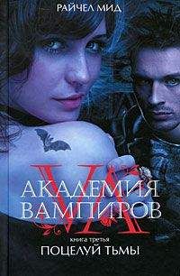 Александра Ведьмина - Тринадцать творений Фабера Дьяболи