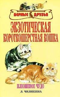 Владимир Круковер - Агрессивность собак и кошек