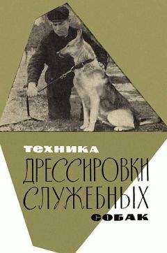 Владимир Круковер - Старая собака