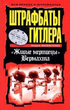 Андрей Васильченко - 100 дней в кровавом аду. Будапешт — «дунайский Сталинград»?