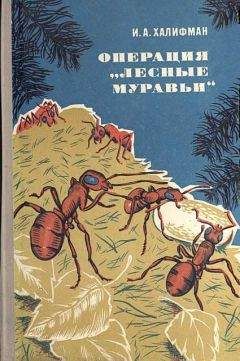 Жан-Анри Фабр - Жизнь насекомых. Рассказы энтомолога