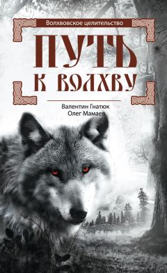 Олег Красавин - Диаграммы, маятники, рамки и другие способы энергоинформационной защиты. Практическое пособие по биолокации