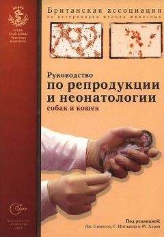 Ольга Антонова - Возрастная анатомия и физиология