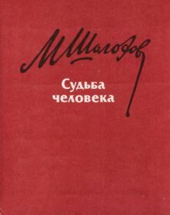 Вацлав Воровский - В кривом зеркале (28 сентября 1908 г.)