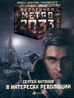Сергей Палий - Метро 2033: Безымянка