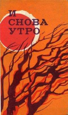 Влад Ривлин - Палестинские рассказы (сборник)
