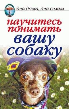 Ольга Карагодина - Серебряный пёс