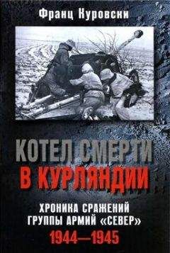 Михаил Свирин - Самоходки Сталина. История советской САУ 1919 – 1945