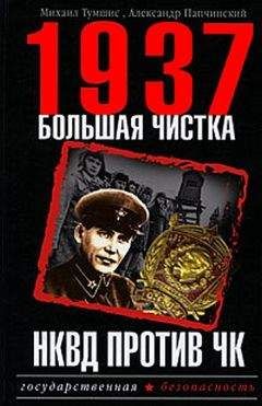 Юрий Жуков - Иной Сталин. Политические реформы в СССР в 1933-1937 гг.