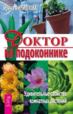 Ирина Филиппова - Доктор на подоконнике. Удивительные свойства комнатных растений