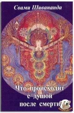 Елена Разумовская - Все тайны реинкарнации. Реальность жизни после смерти
