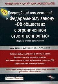 Александр Борисов - Комментарий к Федеральному закону от 12 января 1996 г. №7-ФЗ «О некоммерческих организациях» (постатейный)