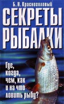 Владимир Казанцев - Четыре сезона рыболова