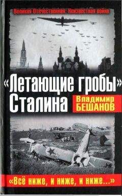 Владимир Рохмистров - Авиация великой войны