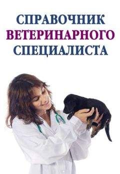 Наталия Криволапчук - Собака, которая любит