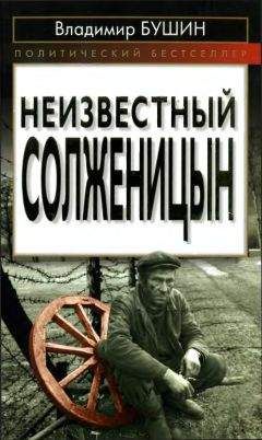 Дмитрий Панин - Солженицын и действительность