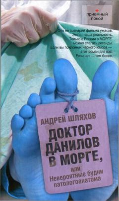Андрей Шляхов - Доктор Данилов в Крыму. Возвращение