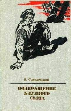 Владимир Безымянный - Тени в лабиринте
