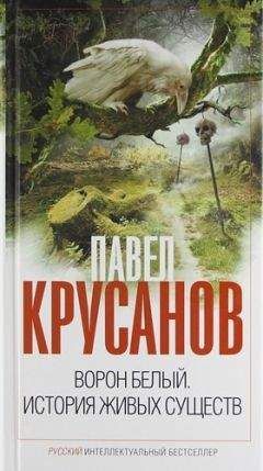Павел Крусанов - Бессмертник (Сборник)