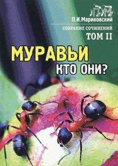 Иосиф Халифман - Операция „Лесные муравьи