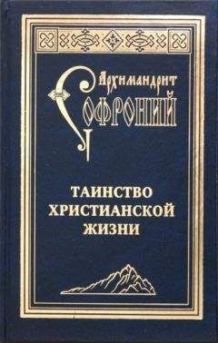 Архимандрит Сергий (Страгородский) - Православное учение о спасении.