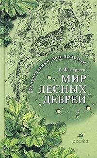 Борис Сергеев - Жизнь лесных дебрей