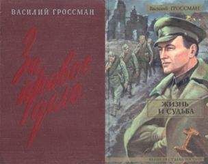 Василий Гроссман - Годы войны