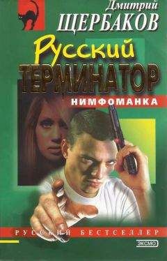 Виктор Степанычев - Терминатор из глубинки
