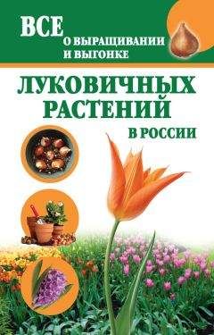 Павел Штейнберг - Обиходная рецептура садовода. Золотая книга садовода, проверенная временем