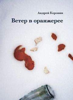 Андрей Ветер - Осколки сердца