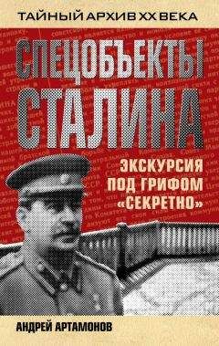 Александр Колесник - Хроника жизни семьи Сталина