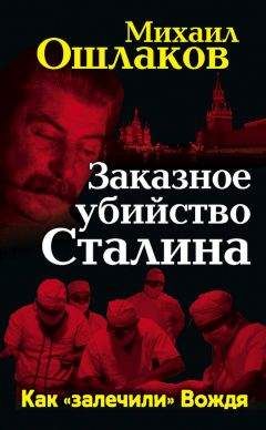 Б. Бессонов - И. В. Сталин. Вождь оклеветанной эпохи