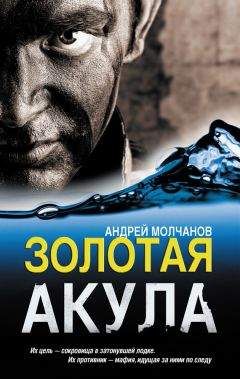 Андрей Кивинов - Охота на Санитара