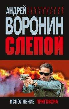 Андрей Воронин - Инкассатор: Черные рейдеры