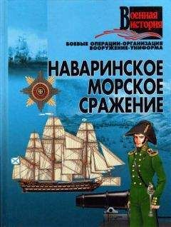 Николай Шавыкин - «Партизаны» флота. Из истории крейсерства и крейсеров