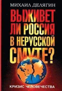 Михаил Делягин - Путь России. Новая опричнина, или Почему не нужно «валить из Рашки»