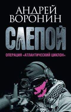 Андрей Воронин - Слепой. Танковая атака