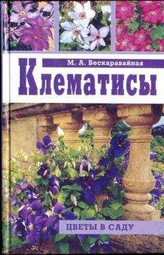 Сергей Ивченко - Занимательно о ботанике