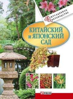 Владимир Петров - Мир лесных растений