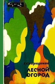 Борис Сергеев - Жизнь лесных дебрей