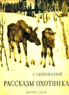 Леонид Семаго - Зеленая книга леса