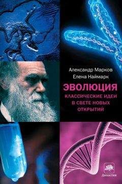  Коллектив авторов - Основы биоэтики